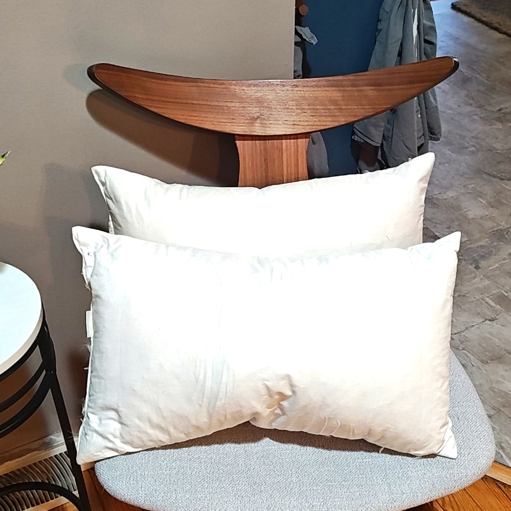 West Elm feather pillow inserts for lumbar cases